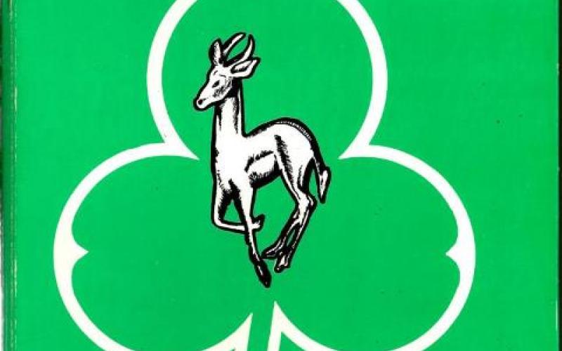 Front cover of Shamrock And Springbok by S. Monick