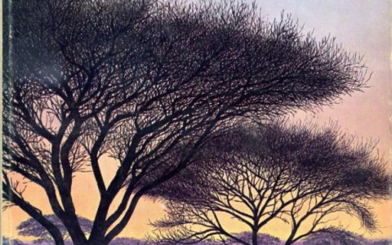 Front Cover of The South African Acacias by J.D. Carr