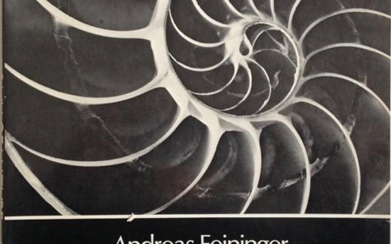 Front Cover of The Anatomy of Nature by Andreas Feininger