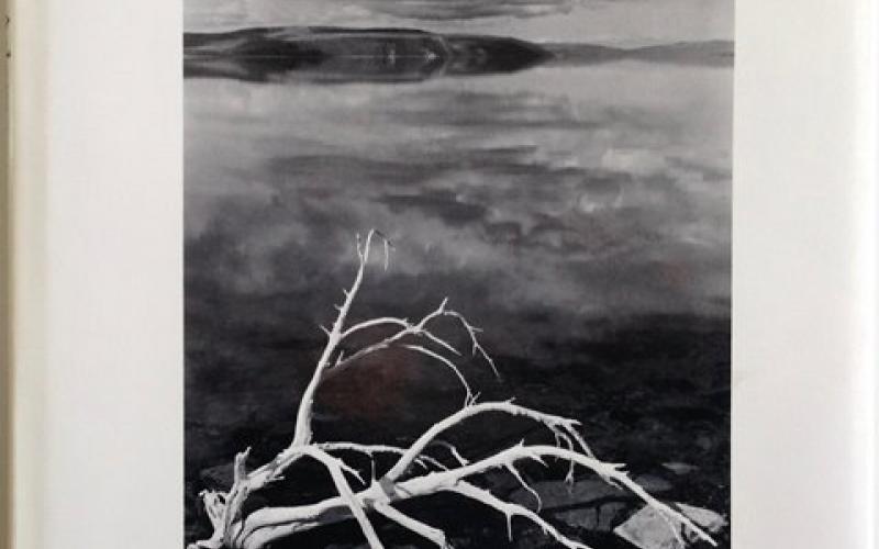 Front Cover of Ansel Adams edited by Liliane De Cock