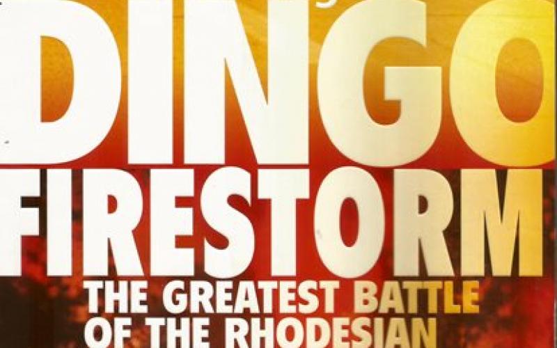 Front cover of Dingo Firestorm by Ian Pringle