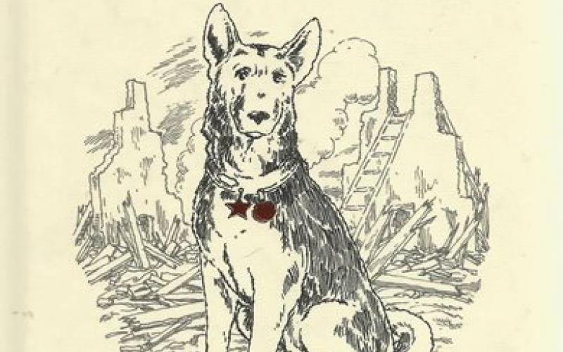 Front cover of Jet the Rescue Dog by David Long