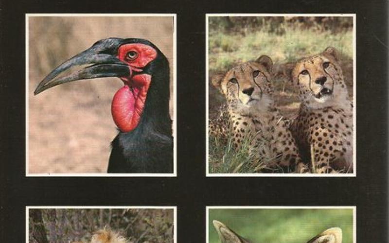 Front Cover of Kruger National Park by PF Fourie