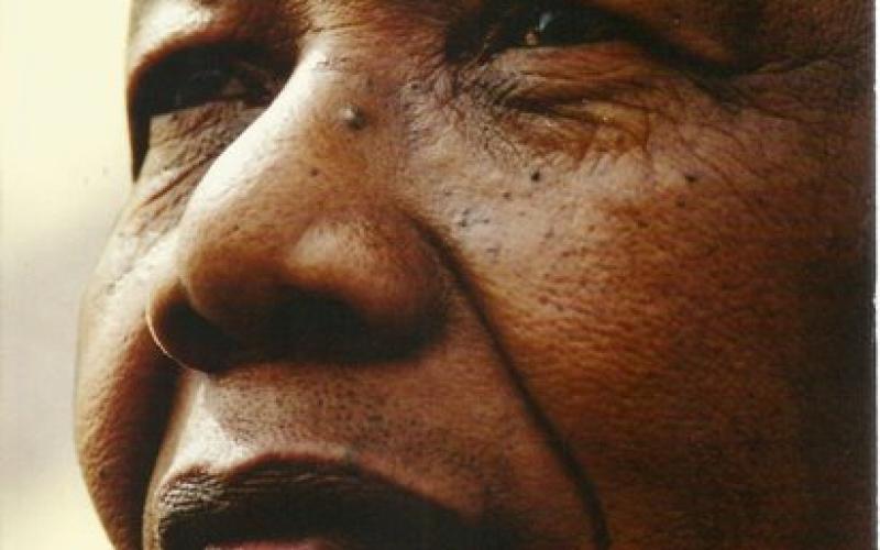Front cover of Mandela by Martin Meredith 