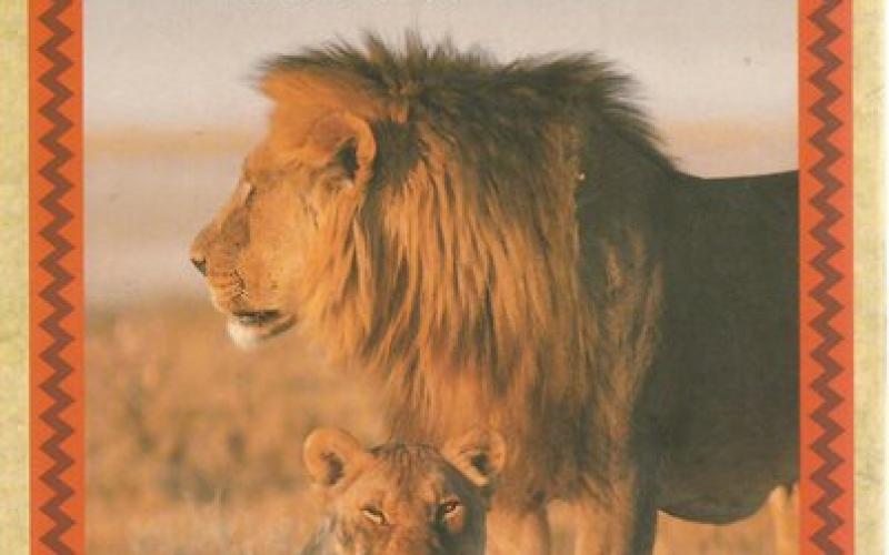 Front Cover of On Safari in East Africa by Ernest Neal