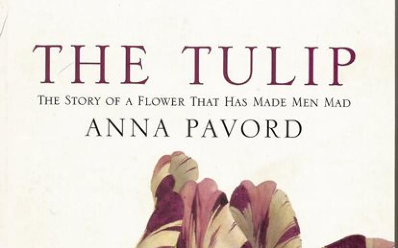 Front cover of The Tulip by Anna Pavord