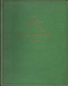 Front cover of Flags Over South Africa by R. Gerard